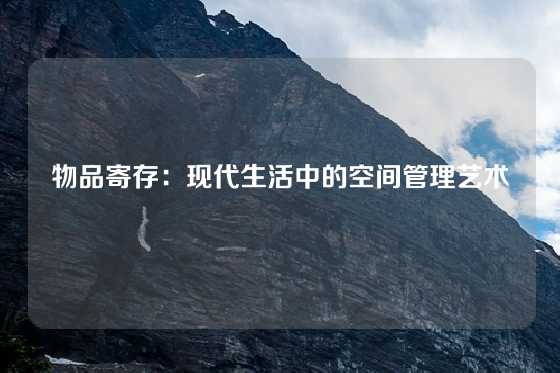 物品寄存：现代生活中的空间管理艺术
