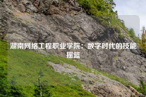 湖南网络工程职业学院：数字时代的技能摇篮