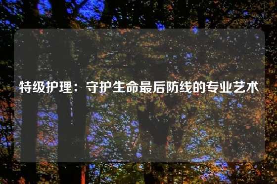 特级护理：守护生命最后防线的专业艺术
