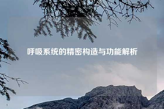 呼吸系统的精密构造与功能解析