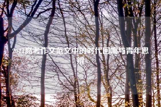 2021高考作文范文中的时代回响与青年思辨