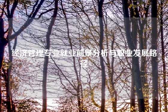 经济管理专业就业前景分析与职业发展路径