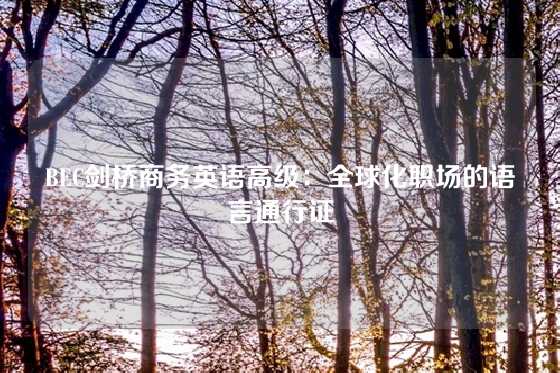 BEC剑桥商务英语高级：全球化职场的语言通行证
