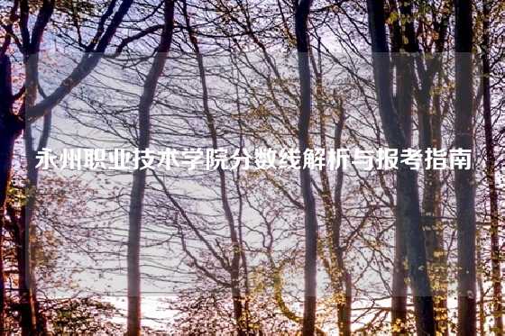 永州职业技术学院分数线解析与报考指南