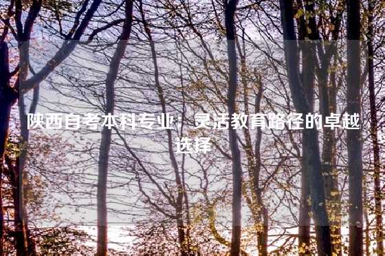 陕西自考本科专业：灵活教育路径的卓越选择