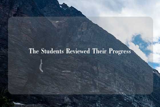 The Students Reviewed Their Progress