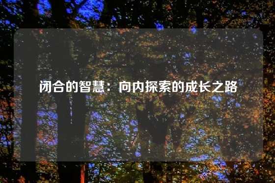 闭合的智慧：向内探索的成长之路